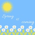 Fresh spring vector illustration with daysies and yellow sun on blue background Royalty Free Stock Photo