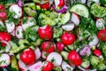 Fresh spring vegetable salad: cucumber, radish, red and green onions, dill with sunflower oil. Royalty Free Stock Photo