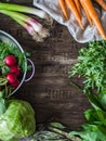 Fresh Spring vegetables and herbs frame on rustic wood background. Spring harvest of fresh vegetables. Copy space Royalty Free Stock Photo