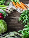 Fresh Spring vegetables and herbs frame on rustic wood background. Spring harvest of fresh vegetables. Copy space Royalty Free Stock Photo