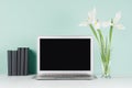 Fresh spring workplace for work and study with blank laptop display, black books and white iris bouquet in light green mint menthe Royalty Free Stock Photo