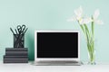 Fresh spring workplace for work and study with blank laptop display, black stationery, books and white bouquet in light green mint Royalty Free Stock Photo