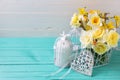 Fresh spring yellow daffodils flowers, decorative bird cage and Royalty Free Stock Photo