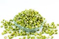 Fresh Sprouted mung beans or green gram beans in white background