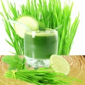Fresh sprouted wheat grass juice with wheat grass in white background Royalty Free Stock Photo