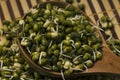 Fresh sprouts of bean seeds. Mungbean close up Royalty Free Stock Photo