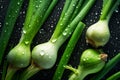 Fresh sprouts of green onion, head of garlic covered with water droplets. Dark background. Royalty Free Stock Photo