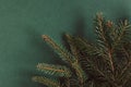 Fresh spruce branches on a dark green background