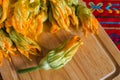 Fresh squash blossoms freshly harvested in mexico