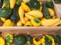 Fresh squash for sale at farmer market