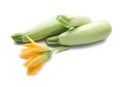 Fresh squashes with flower on white background Royalty Free Stock Photo