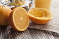 Fresh squeezed orange juice Royalty Free Stock Photo