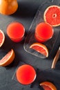 Fresh Squeezed Organic Grapefruit Juice Royalty Free Stock Photo