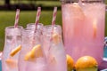 Fresh Squeezed Pink Lemonade on the Patio Royalty Free Stock Photo