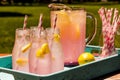 Fresh Squeezed Pink Lemonade on the Patio Royalty Free Stock Photo