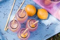 Fresh Squeezed Pink Lemonade on the Patio Royalty Free Stock Photo