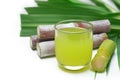 Fresh squeezed sugar cane juice. Royalty Free Stock Photo