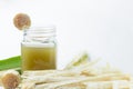 Fresh squeezed sugar cane juice in clear glass with cut pieces cane on white background Royalty Free Stock Photo