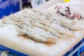 Fresh squid on ice sale at stall in the Mahachai Street