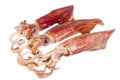 Fresh squid isolated on white background Royalty Free Stock Photo