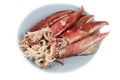 Fresh squid isolated on white background Royalty Free Stock Photo