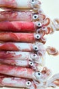 Fresh squid loligo vulgaris after catch Royalty Free Stock Photo