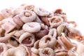 Fresh Squid Rings Isolated Royalty Free Stock Photo