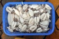 Fresh squids in a fish market