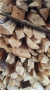 Fresh staked firewood