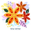 Fresh star anise juice splash organic food condiment spice splatter on abstract colorful splatter splash background vector Royalty Free Stock Photo