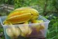 fresh starfruit or carambola (Averrhoa carambola)