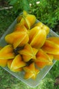 fresh starfruit or carambola (Averrhoa carambola)