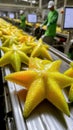 Fresh starfruit sorting on conveyor belt in modern tropical fruit processing plant Royalty Free Stock Photo