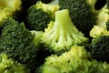 Fresh Steamed Broccoli