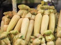 Fresh steamed Corn sale at urban market