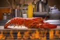 Fresh Steamed Lobster and Barbecue Grill Royalty Free Stock Photo