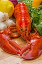 Fresh Steamed Lobster with Lemon and Fresh Vegetables Royalty Free Stock Photo