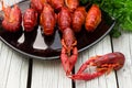 Fresh steamed pair of crawfish on the black rectangular plate on the white wooden background