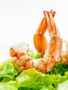 Fresh steamed prawns with vegetable salad isolate on white back Royalty Free Stock Photo