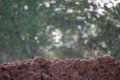 Fresh steaming soil Royalty Free Stock Photo