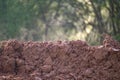 Fresh steaming soil Royalty Free Stock Photo