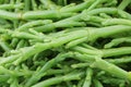 Fresh stems of Samphire Royalty Free Stock Photo