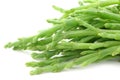 Fresh stems of Samphire Royalty Free Stock Photo