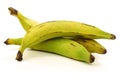 Fresh still unripe plantain (baking) bananas Royalty Free Stock Photo