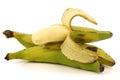 Fresh still unripe plantain (baking) bananas Royalty Free Stock Photo