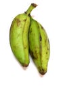 Fresh still unripe plantain baking bananas on a white background