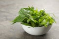Fresh stinging nettle leaves in bowl on grey table