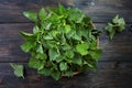 Fresh stinging nettle leaves Royalty Free Stock Photo