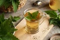 Fresh stinging nettles in a cup of herbal tea