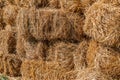 Fresh straw hay bales, food for cattle Royalty Free Stock Photo